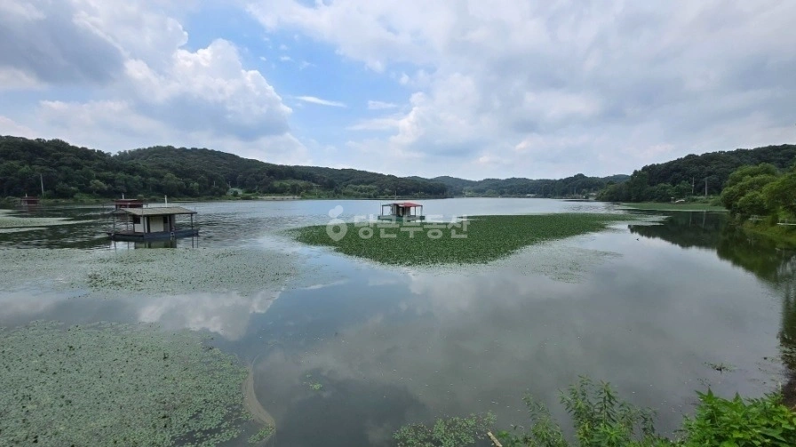경기도 연천군 백학면 토지 사진 1