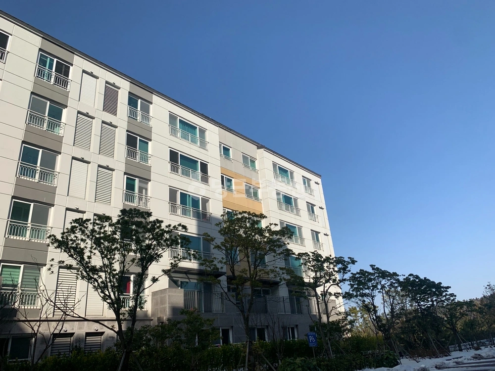 제주특별자치도 제주시 월평동 아파트 사진 1