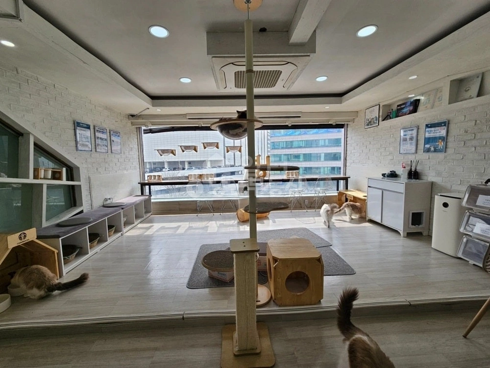 서울특별시 서대문구 창천동 상가 사진 1