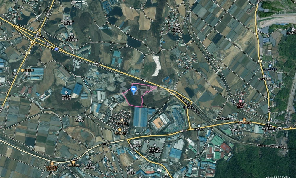 충청남도 천안시 서북구 입장면 토지 사진 1