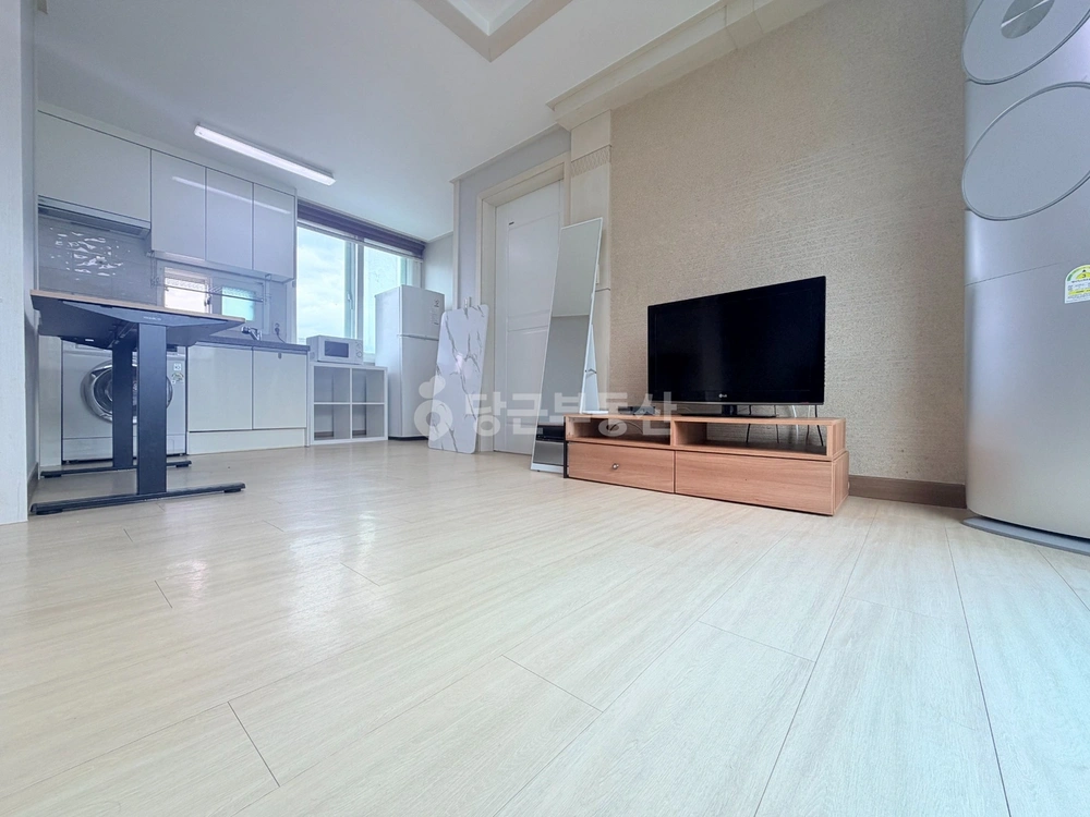서울특별시 강남구 역삼동 빌라(투룸 이상) 사진 1
