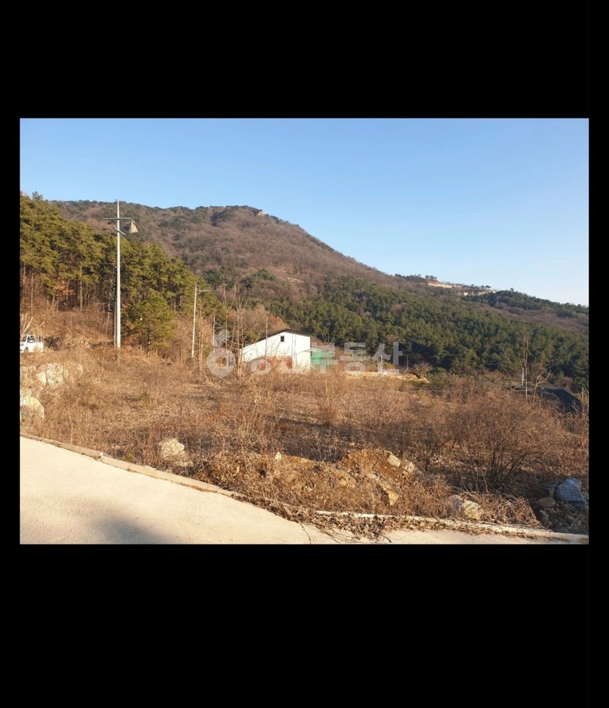 경기도 양평군 양평읍 토지 사진 1