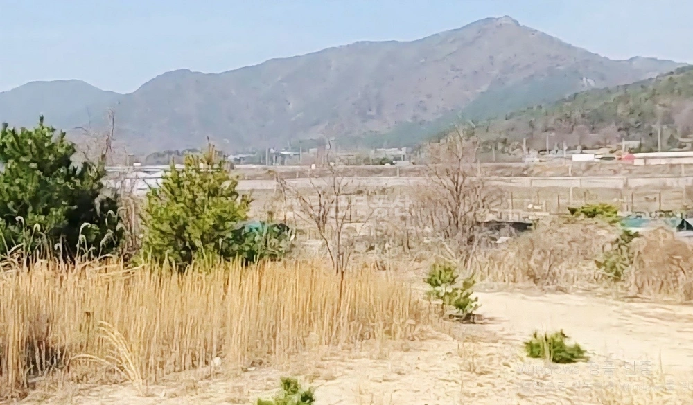 경상남도 김해시 대동면 토지 사진 1