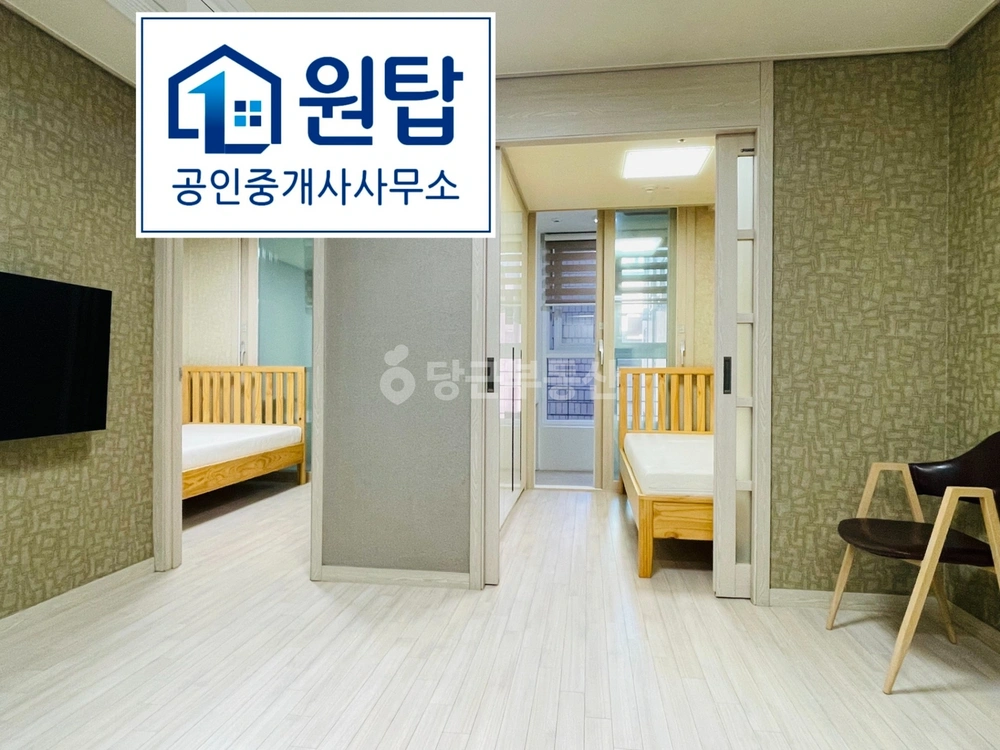 제주특별자치도 제주시 연동 빌라(투룸 이상) 사진 1