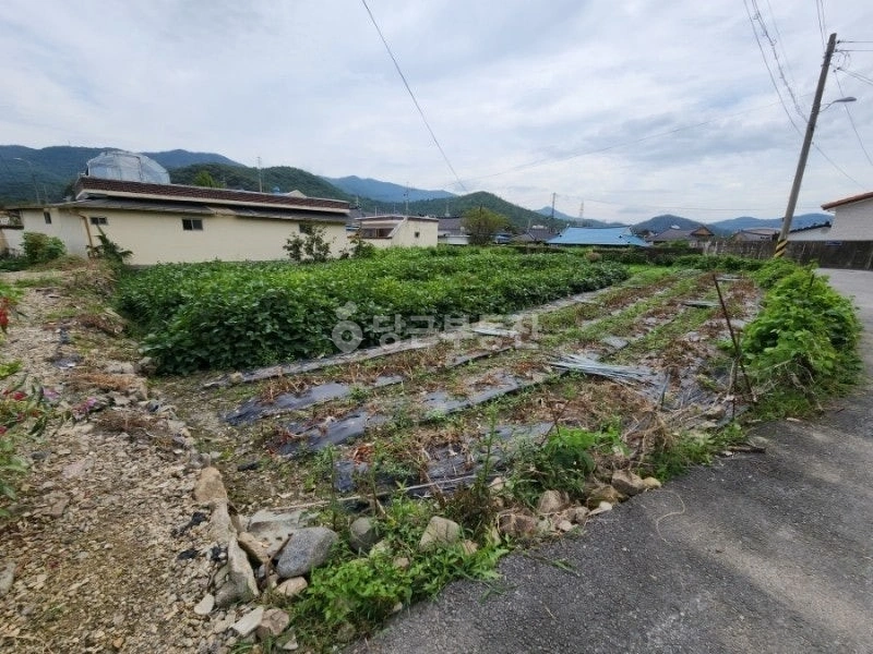 전남광주통합특별시 화순군 동면 토지 사진 1
