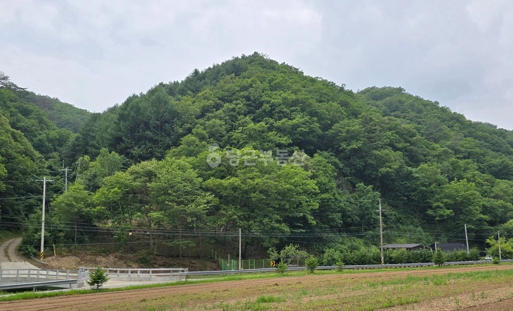 강원특별자치도 홍천군 화촌면 토지 사진 1