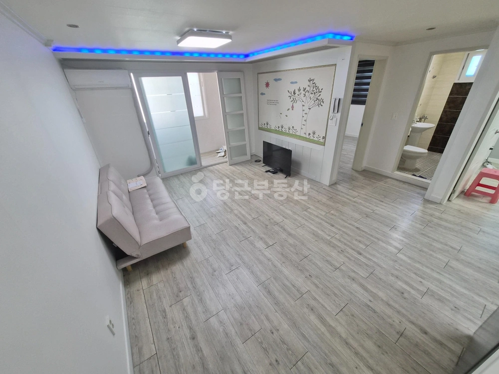 경상북도 포항시 북구 죽도동 빌라(투룸 이상) 사진 1
