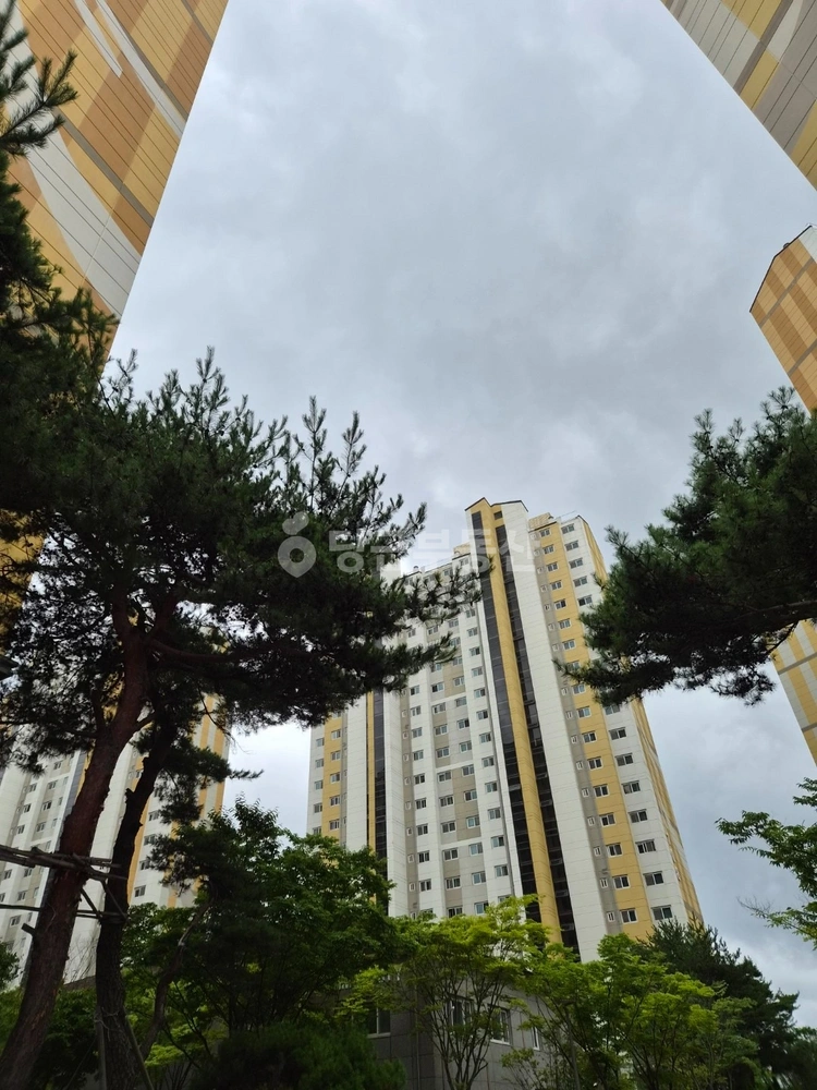 경상남도 진주시 충무공동 아파트 사진 1