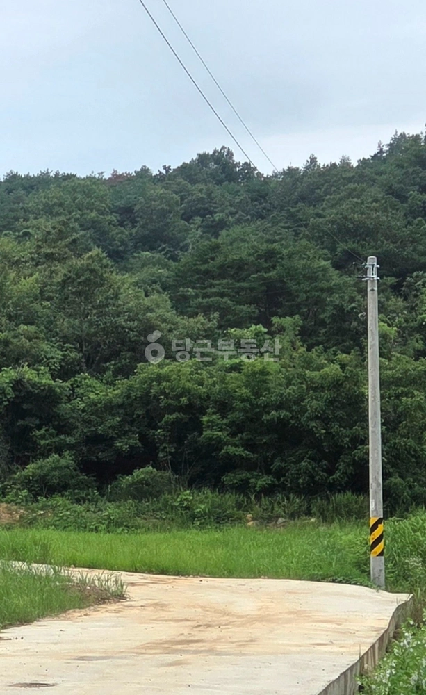 경상북도 구미시 산동읍 토지 사진 1