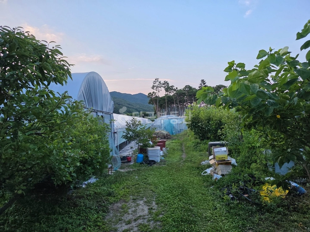 충청남도 천안시 동남구 북면 토지 사진 1