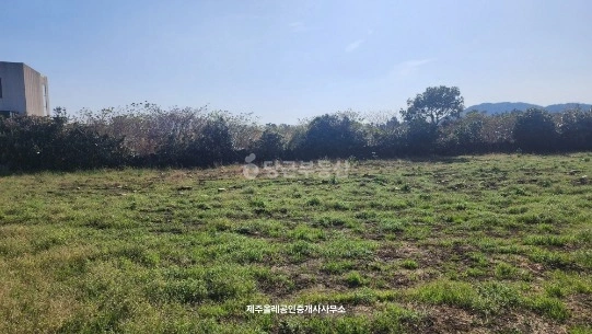 제주특별자치도 서귀포시 성산읍 토지 사진 1