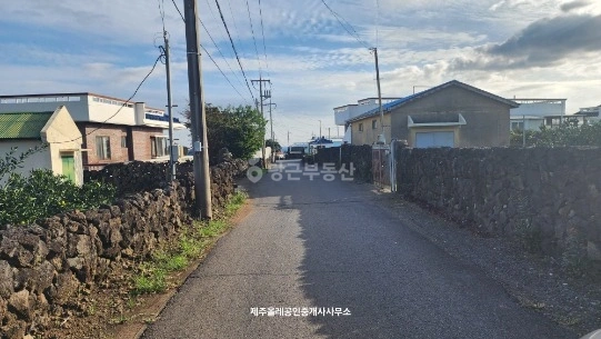 제주특별자치도 서귀포시 신효동 토지 사진 1