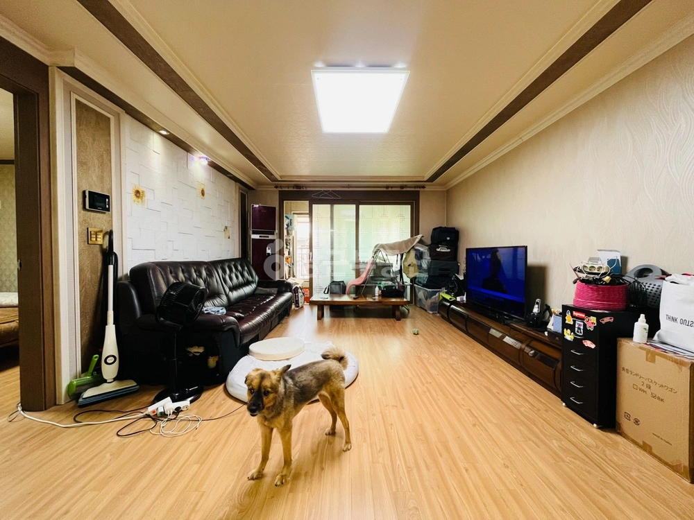 경기도 안산시 상록구 부곡동 빌라(투룸 이상) 사진 1