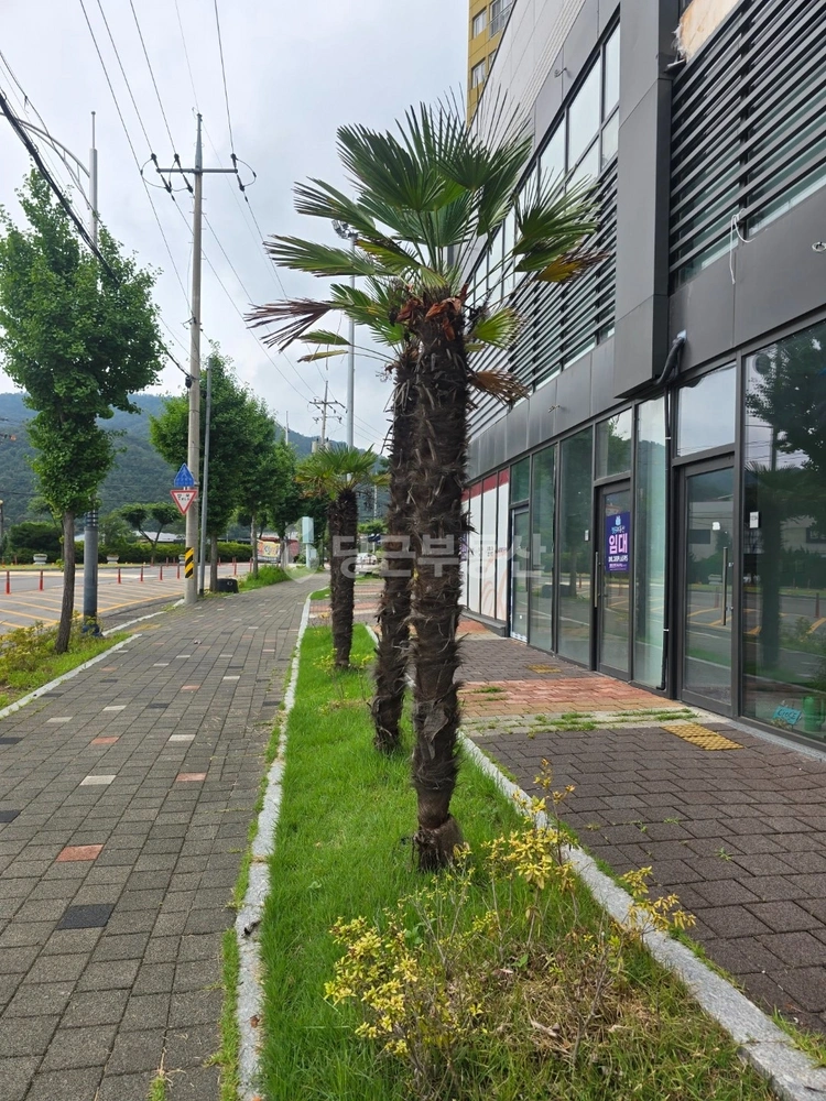 전남광주통합특별시 화순군 화순읍 상가 사진 1