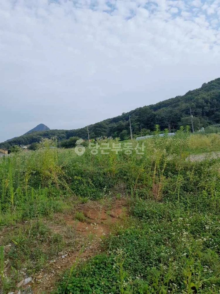인천광역시 강화군 화도면 토지 사진 1