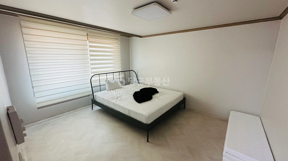 강원특별자치도 강릉시 송정동 빌라(투룸 이상) 사진 1