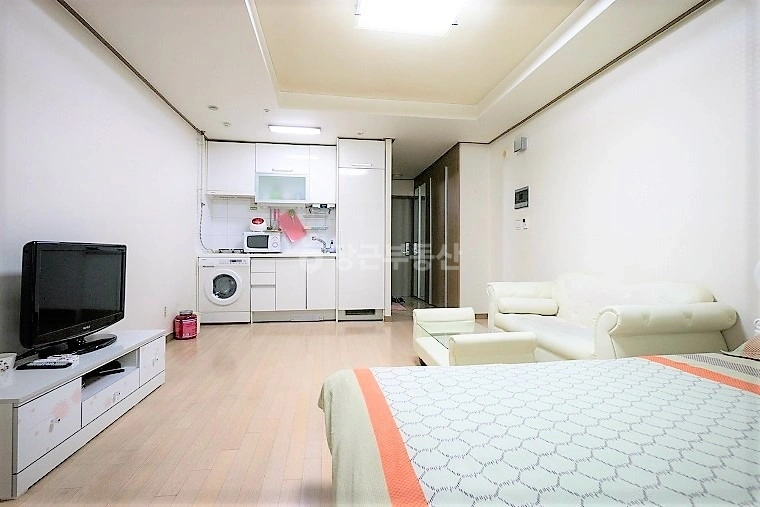 서울특별시 강남구 역삼동 오피스텔 사진 1