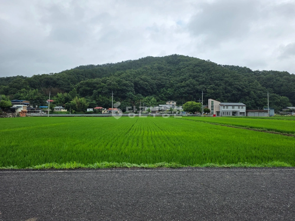 경상남도 진주시 명석면 토지 사진 1