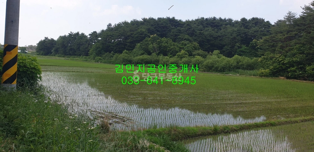 강원특별자치도 강릉시 운산동 토지 사진 1