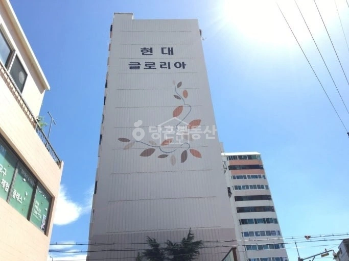 울산광역시 중구 반구동 아파트 사진 1