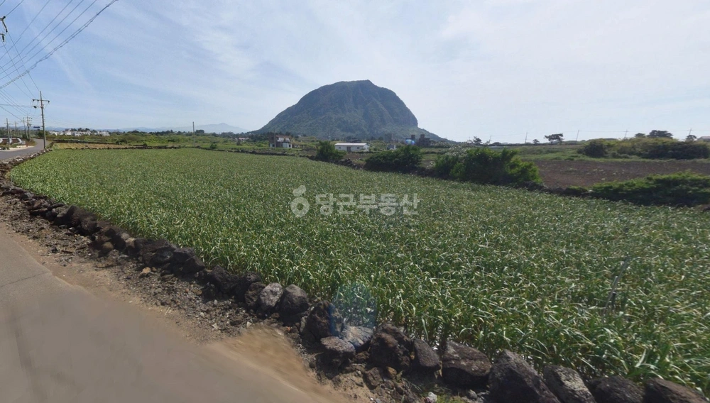 제주특별자치도 서귀포시 안덕면 토지 사진 1