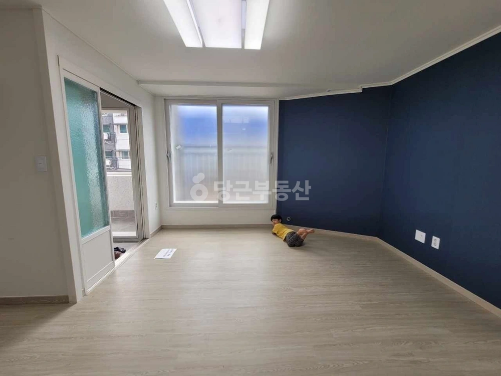 경기도 고양시 덕양구 동산동 빌라(투룸 이상) 사진 1