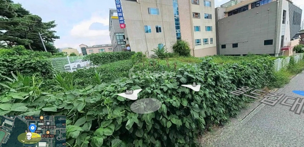 대전광역시 유성구 상대동 토지 사진 1