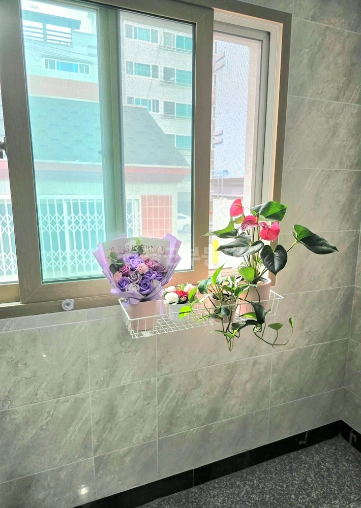 울산광역시 중구 성안동 단독/전원주택 사진 1