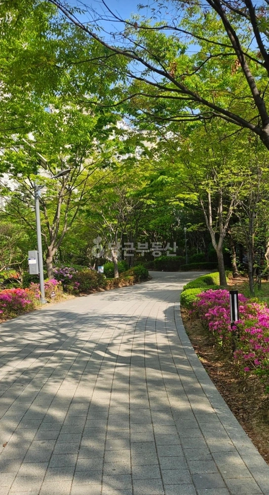 서울특별시 성동구 하왕십리동 아파트 사진 1