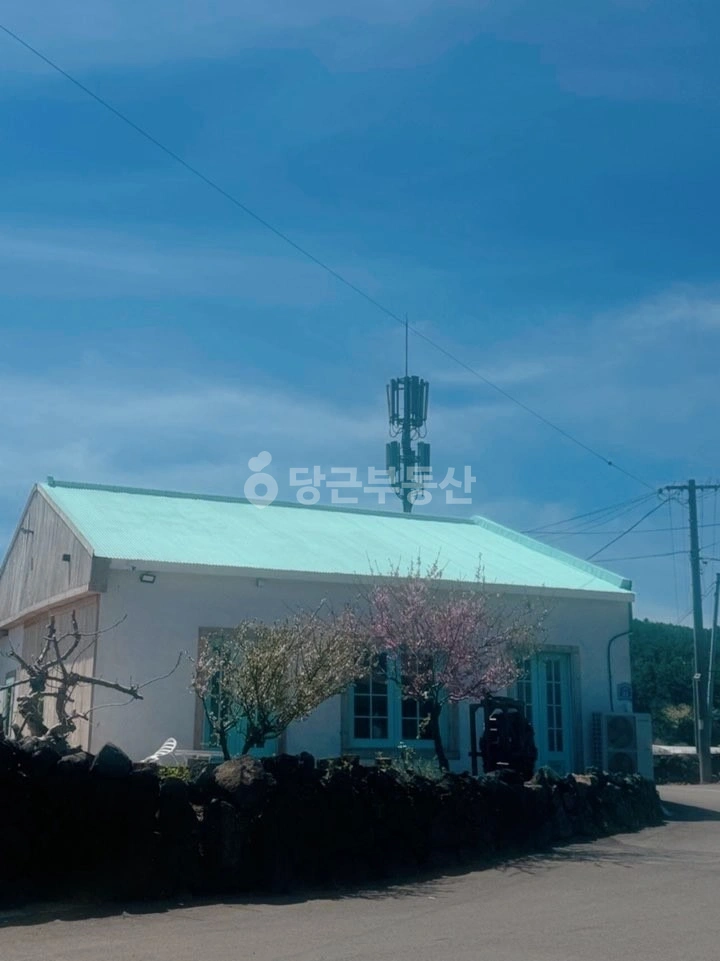 제주특별자치도 제주시 애월읍 상가 사진 1