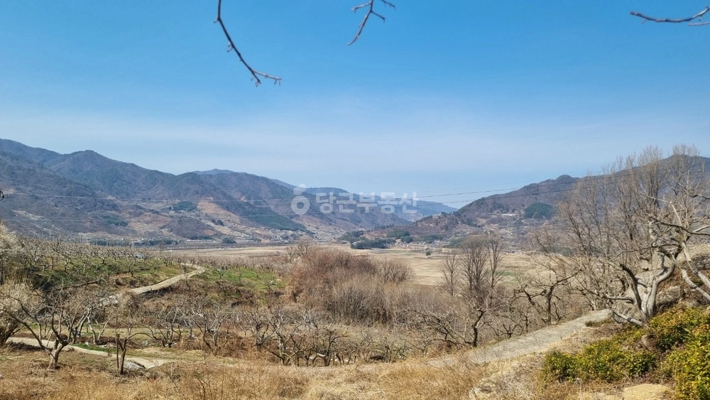 경상남도 하동군 악양면 토지 사진 1