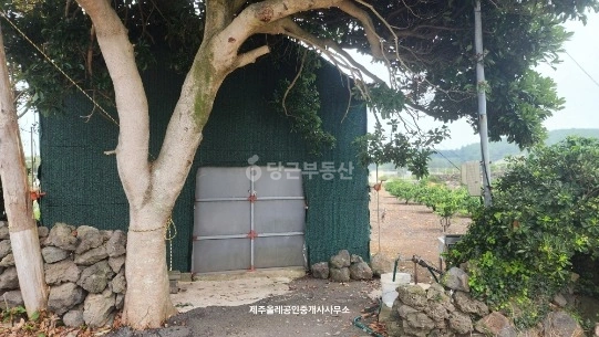 제주특별자치도 서귀포시 표선면 토지 사진 1