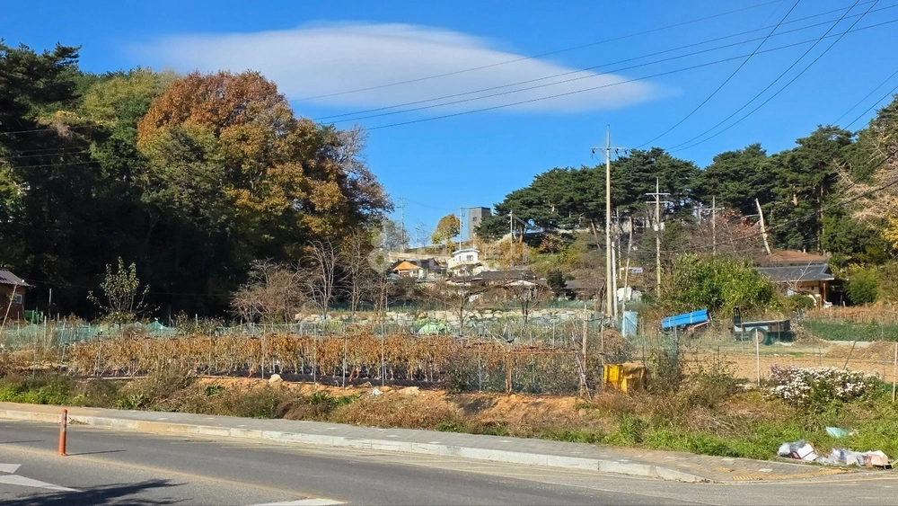강원특별자치도 강릉시 포남동 토지 사진 1