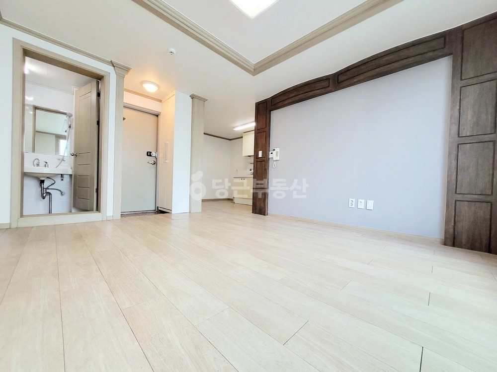 대전광역시 서구 괴정동 빌라(투룸 이상) 사진 1