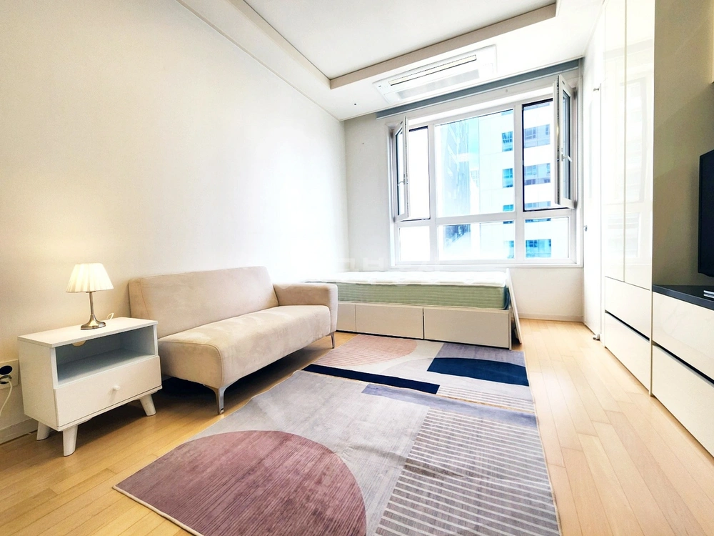 서울특별시 강남구 역삼동 오피스텔 사진 1