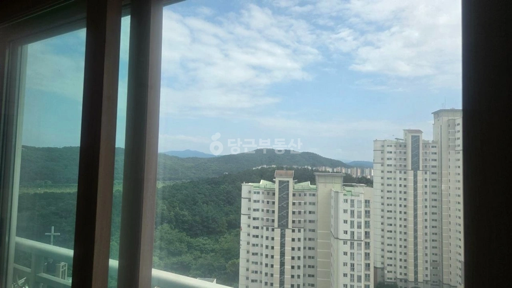 대전광역시 서구 도안동 아파트 사진 1