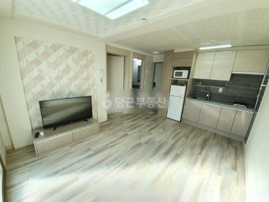 대전광역시 서구 괴정동 원룸 사진 1