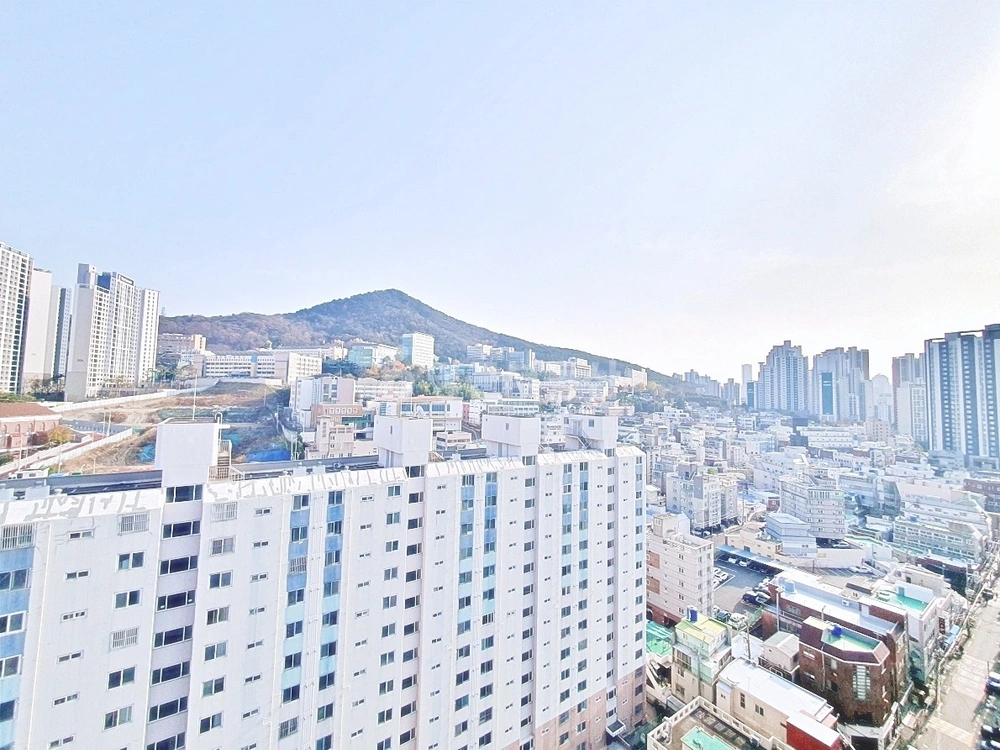 부산광역시 부산진구 양정동 오피스텔 사진 1