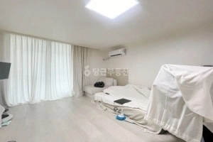 서울특별시 강남구 역삼동 원룸 사진 1