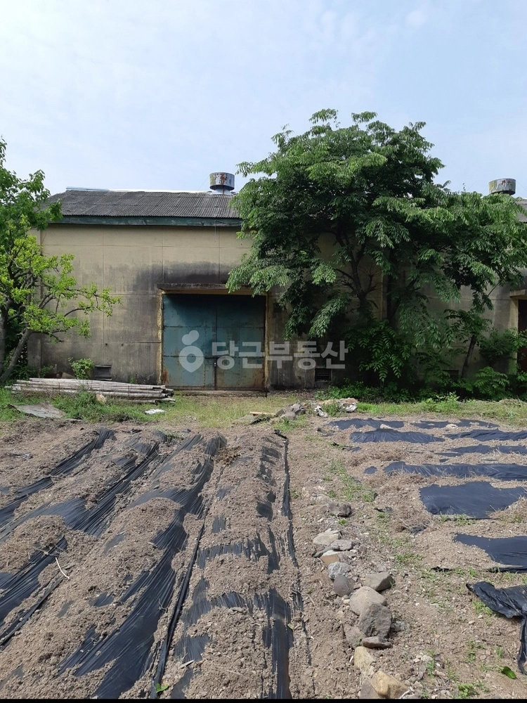 경상북도 영덕군 달산면 공장/창고 사진 1
