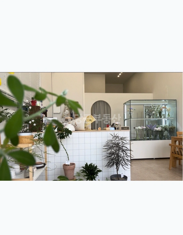 충청북도 청주시 상당구 용암동 상가 사진 1