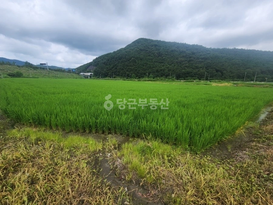 전남광주통합특별시 화순군 동면 토지 사진 1