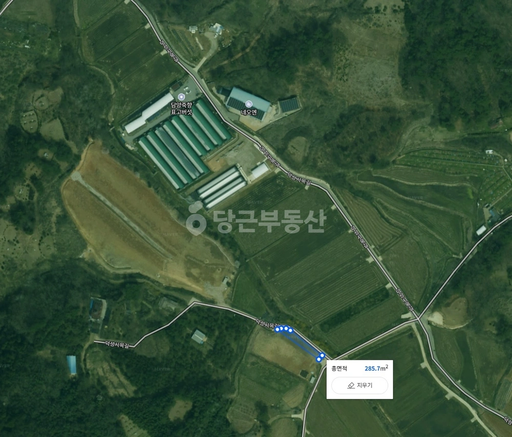 전남광주통합특별시 담양군 금성면 토지 사진 1