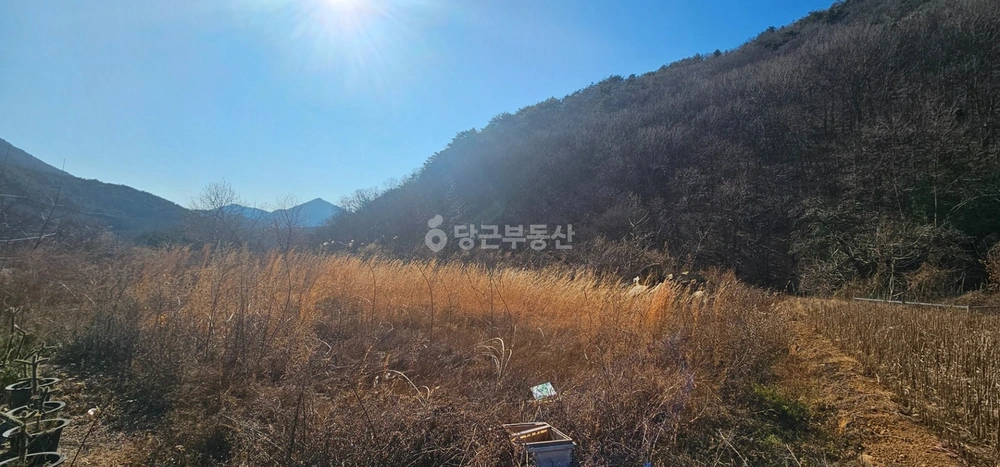 경상남도 양산시 원동면 토지 사진 1