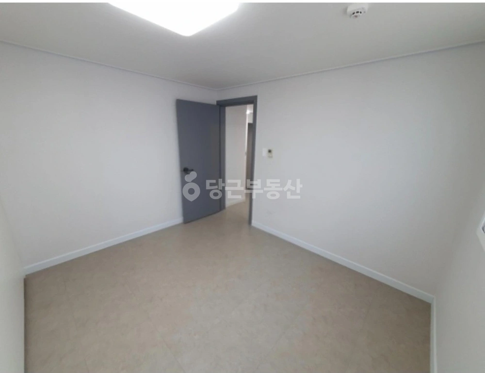 대전광역시 서구 괴정동 빌라(투룸 이상) 사진 1