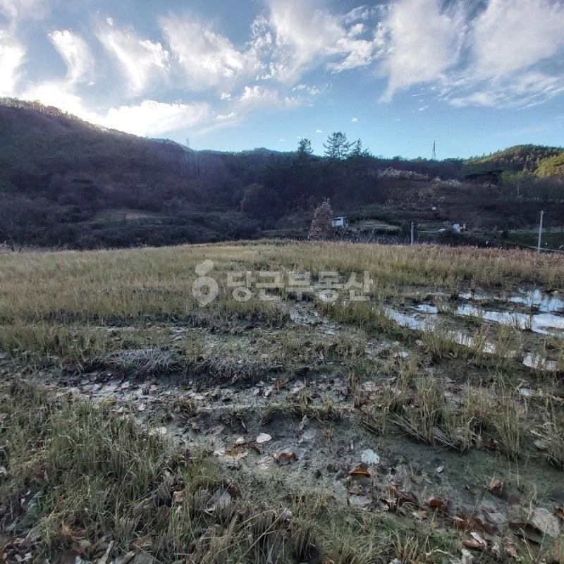 전남광주통합특별시 화순군 동면 토지 사진 1