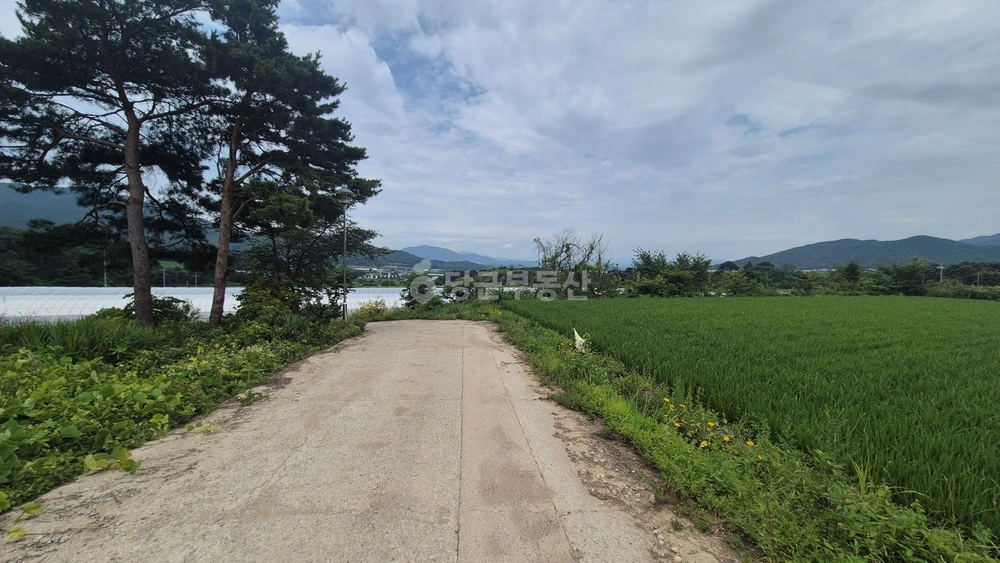 전북특별자치도 남원시 운봉읍 토지 사진 1