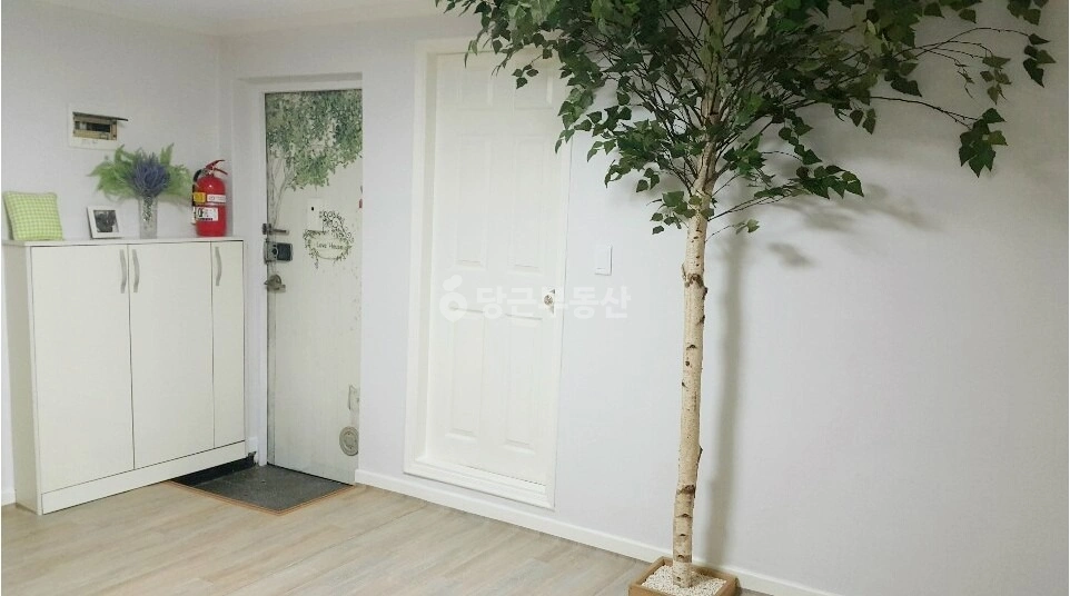 경기도 안산시 상록구 월피동 빌라(투룸 이상) 사진 1