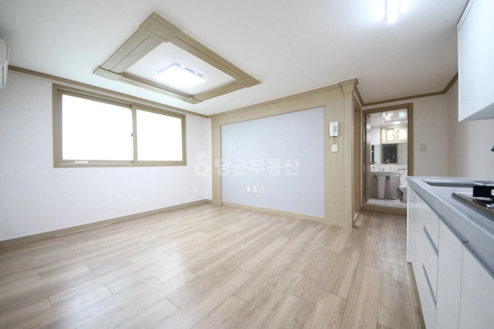 대전광역시 서구 괴정동 빌라(투룸 이상) 사진 1