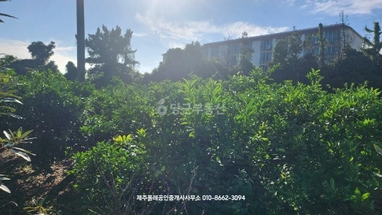 제주특별자치도 서귀포시 표선면 토지 사진 1